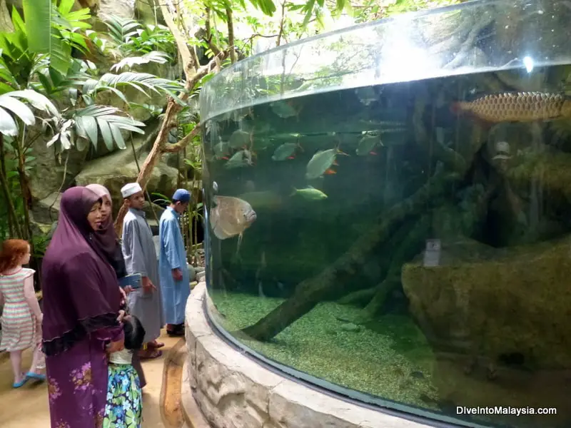 langkawi nice place at Underwater World Langkawi