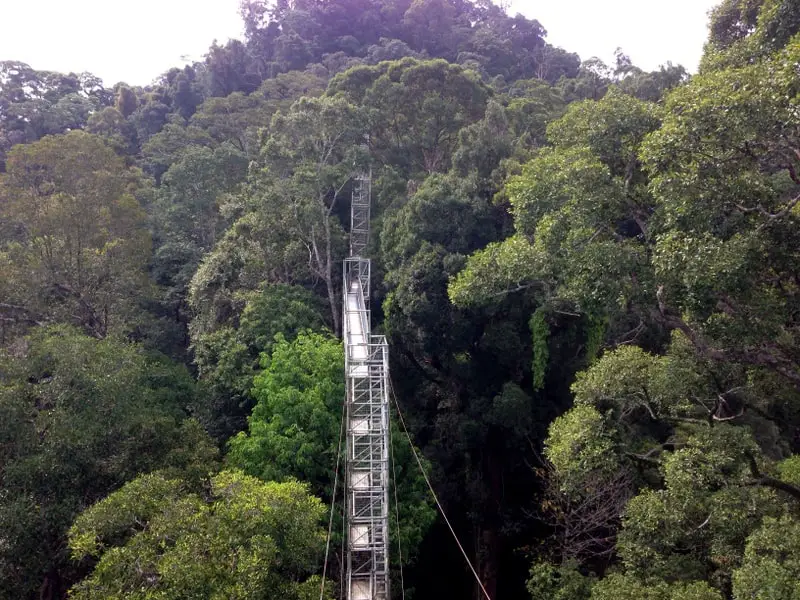 Ulu Temburong National Park borneo what to do