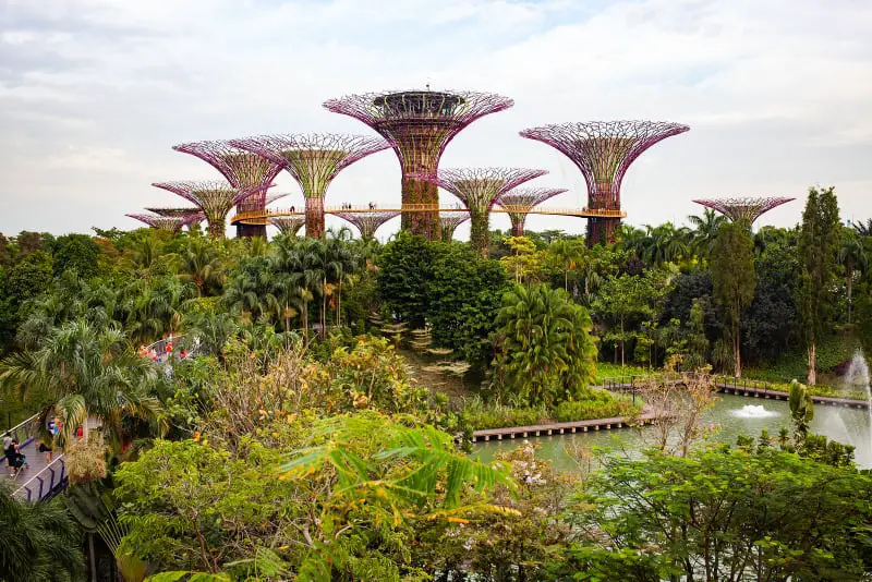 Gardens By The Bay Singapore