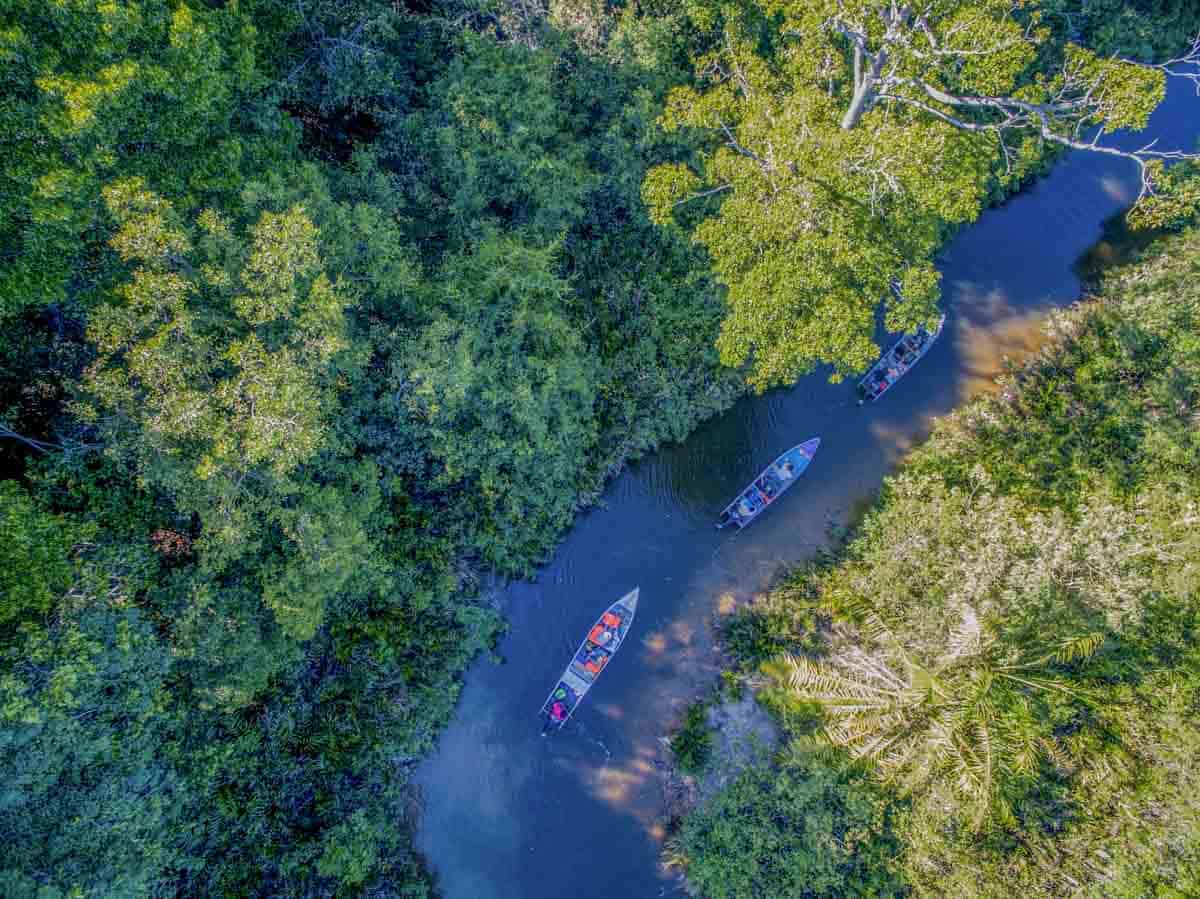 Sungai Kapur River Cruise things to do borneo