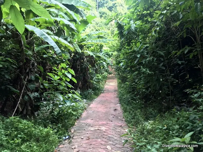 The path from Long Beach to the Village