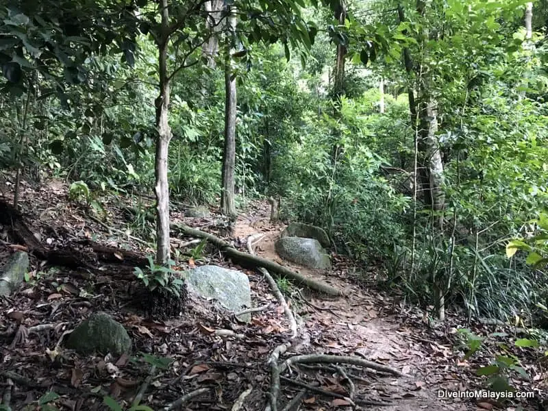 The jungle trek that cuts across Perhentian Besar