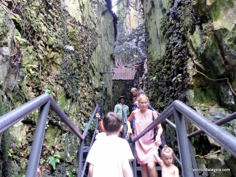 Sunway Lost World of Tambun Ipoh Perak Tarantula Alley!