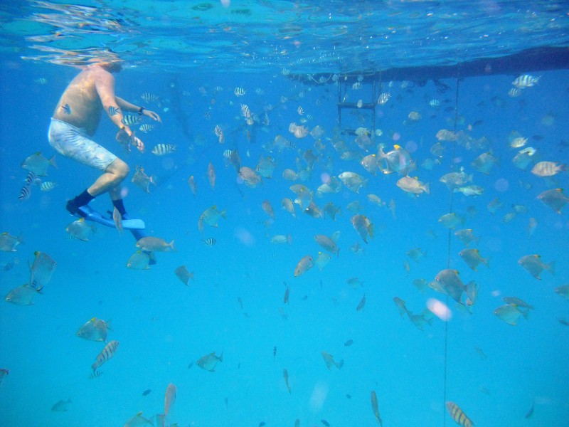 Snorkelling on Redang Island