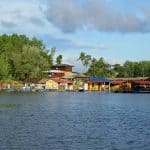 Sungai Lebam River Cruise views during the day desaru