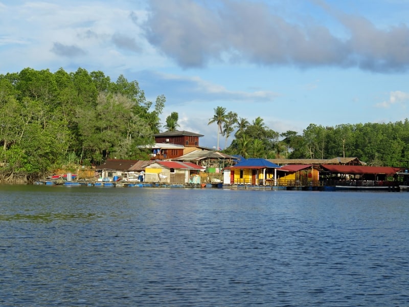 Sungai Lebam River Cruise views during the day desaru