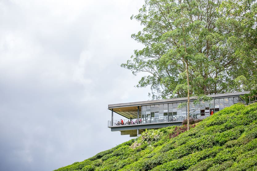 BOH Tea Center, Cameron Highlands