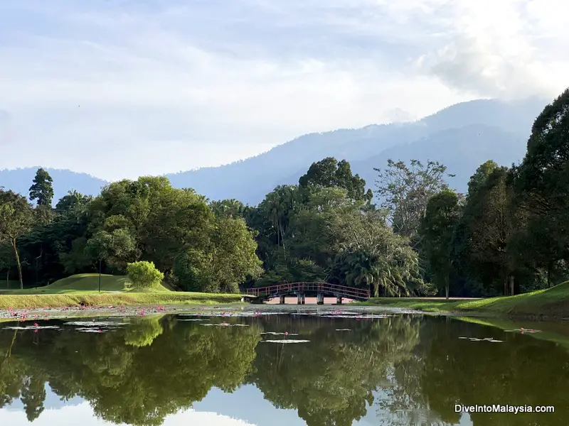 Lake Gardens Taiping