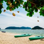 Nipah Bay Pangkor Island