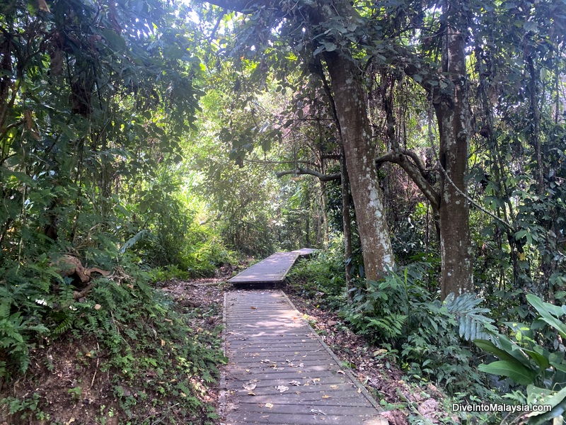 Walking through Taman Negara