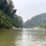 17 Top Things To Do In Taman Negara, Pahang