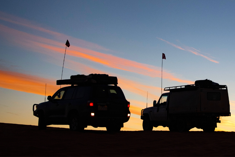 Night 4WD Safari