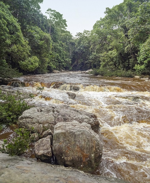 Taman Negara National Park rapid shooting