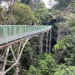 Sandakan Rainforest Discovery Centre