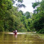 Kinabatangan River Cruise