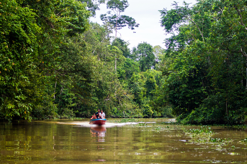 Kinabatangan River Cruise