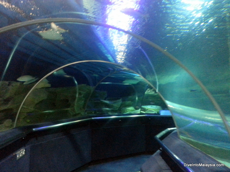 Aquaria KLCC Aquarium