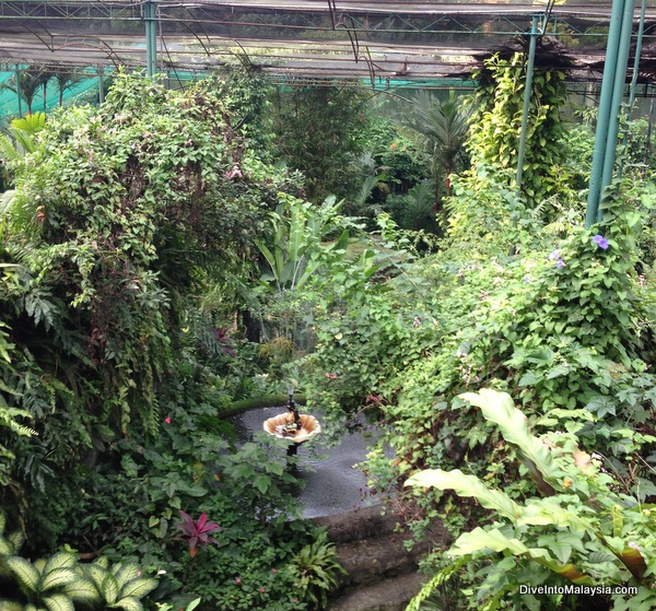 Kuala Lumpur Butterfly Park