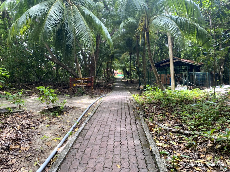 Selingan Turtle Island paths