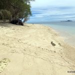 Some turtle tracks on the beach at Selingan Turtle Island