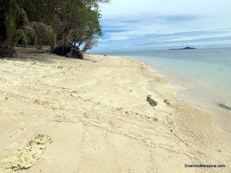 Some turtle tracks on the beach at Turtle Island