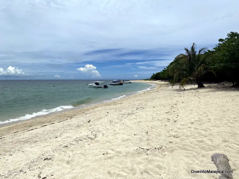 Selingan Turtle Island The opposite side of the island to the swimming area