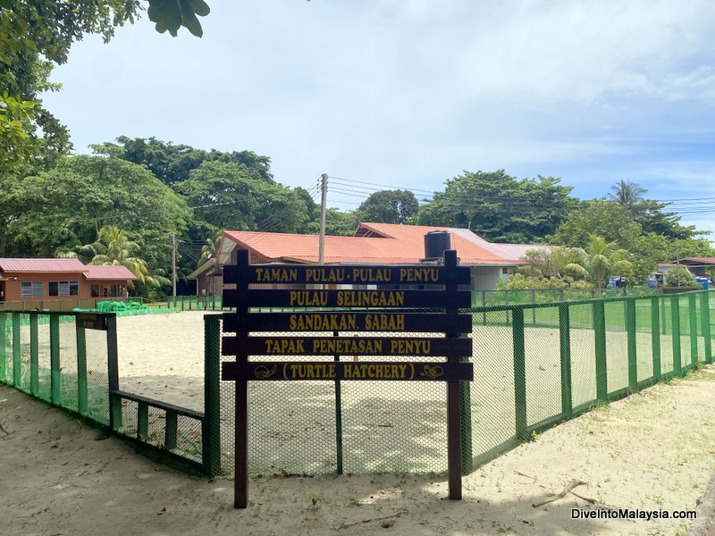 Selingan Turtle Island Turtle hatchery