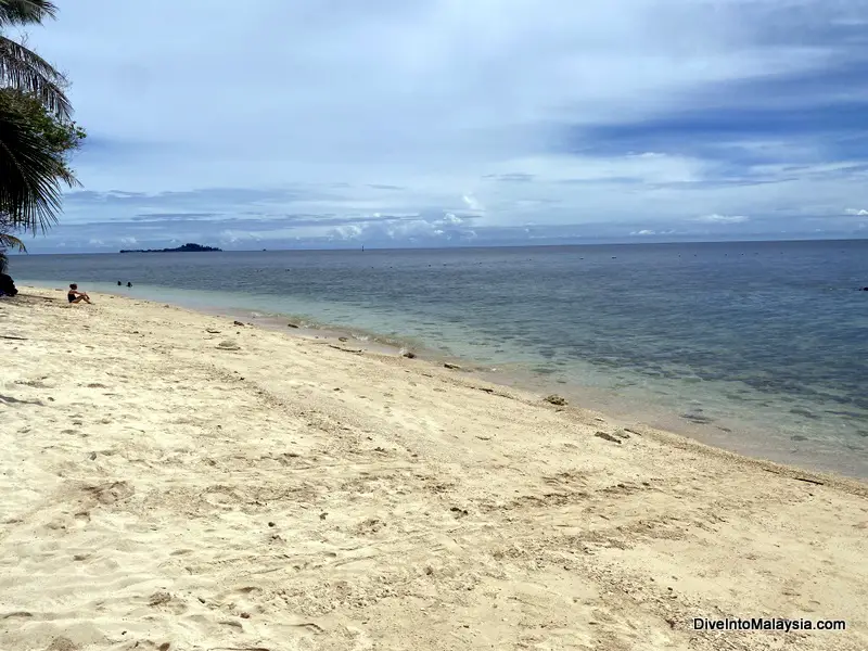 Selingan Turtle island snorkelling