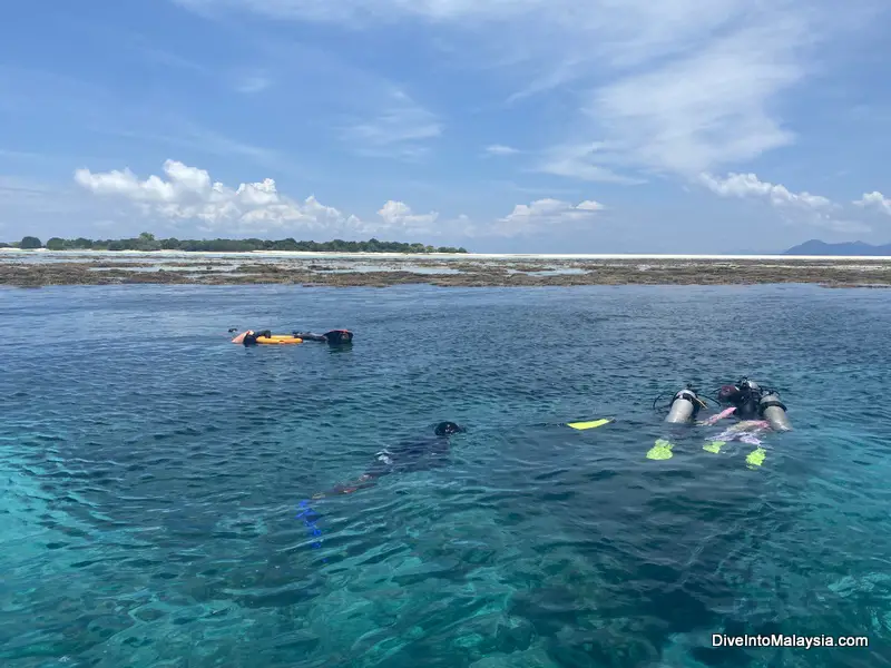 Timba Timba Island Semporna snorkelling