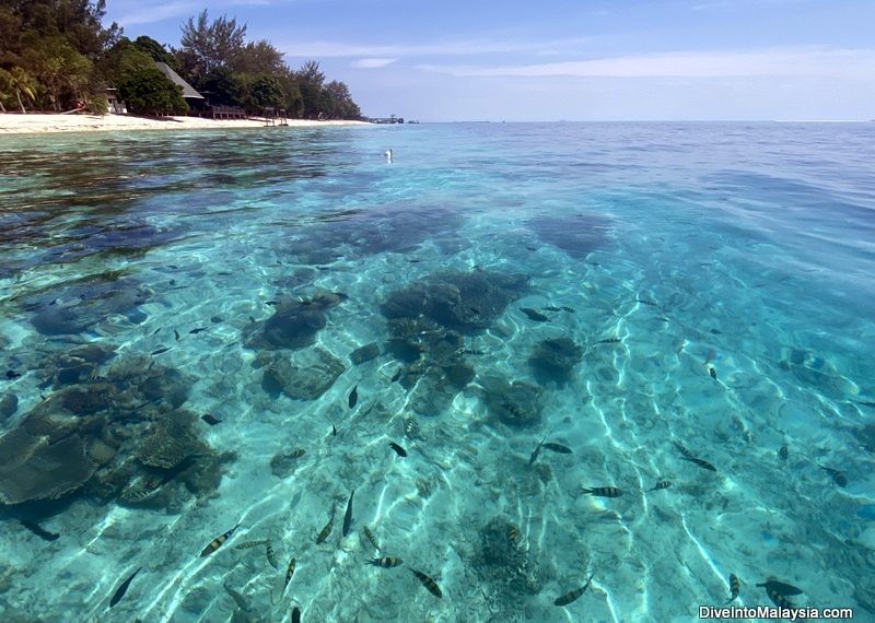 Mataking Island Semporna The crazy clear water at Mataking. We could easily see colourful fish straight from the boat