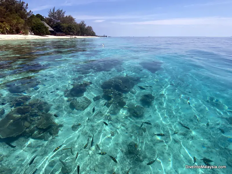 Mataking Island Semporna The crazy clear water at Mataking. We could easily see colourful fish straight from the boat