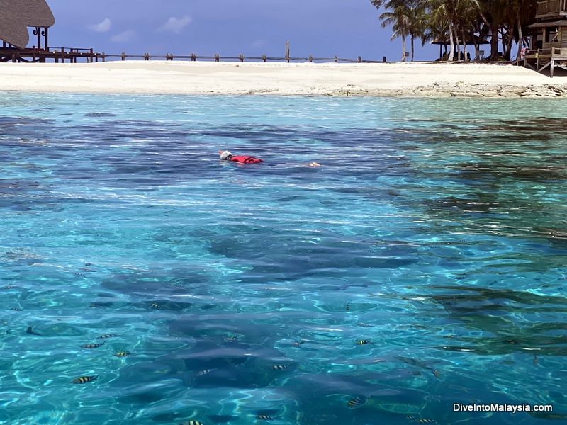 Mataking Island Semporna snorkelling