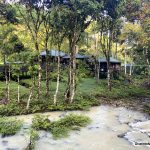 Tabin Wildlife Resort