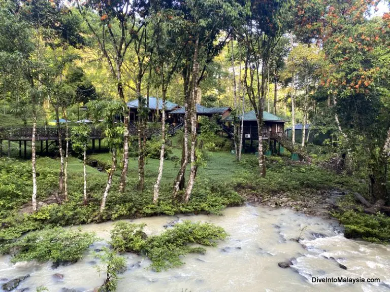 Tabin Wildlife Resort