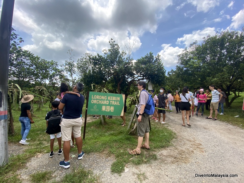 Desaru Fruit Farm Part of our tour group