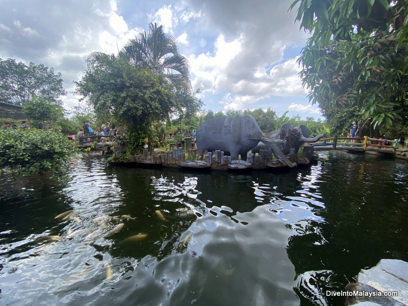 Desaru Fruit Farm fish pond