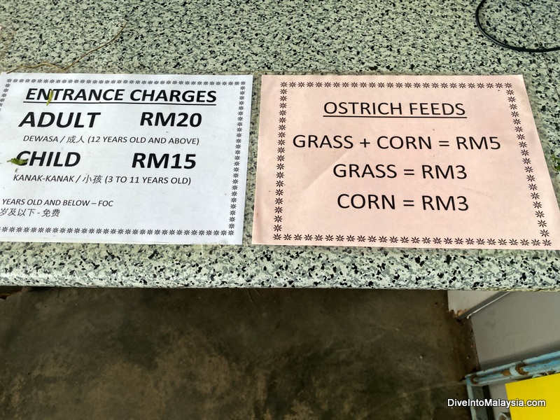 Desaru Ostrich Farm entry prices