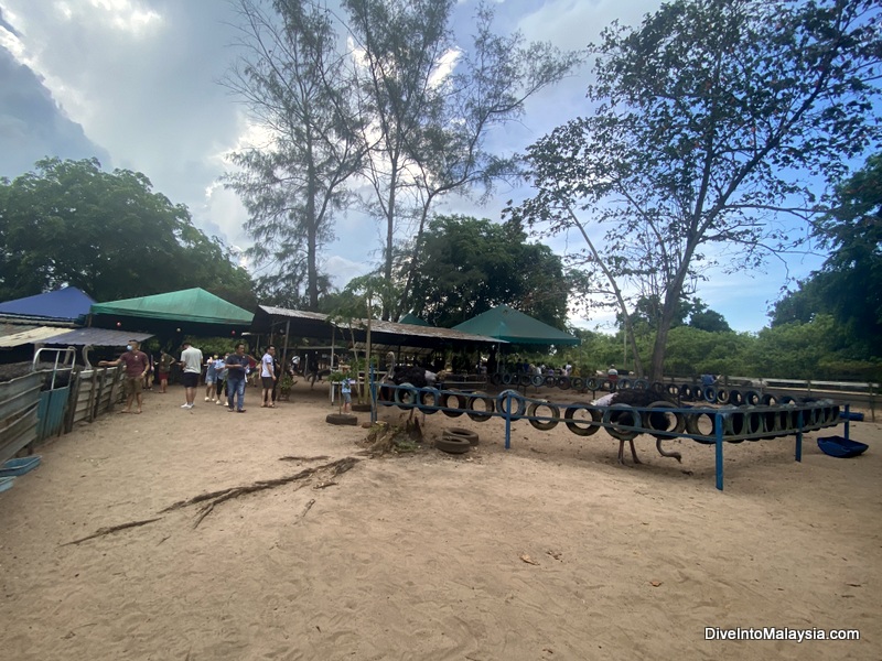 Desaru Ostrich Farm Inside farm