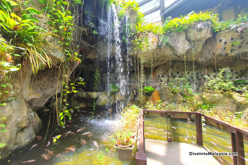 Entopia Penang fishpond