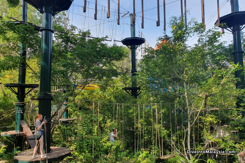 Escape Penang treetop adventure (1)