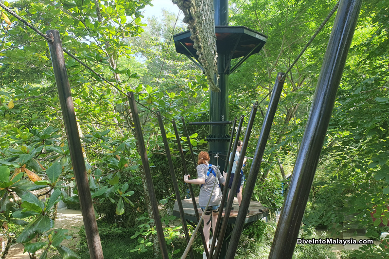 Escape Penang Treetop adventures