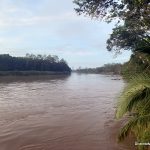 Kinabatangan River