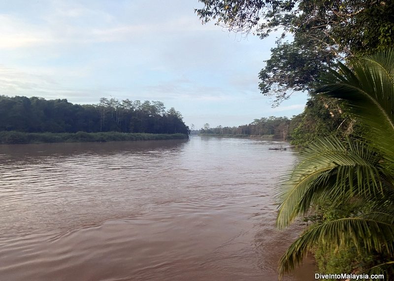 Kinabatangan River