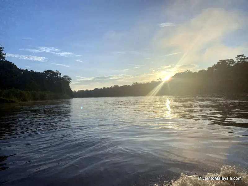 Sunrise at Kinabatangan River