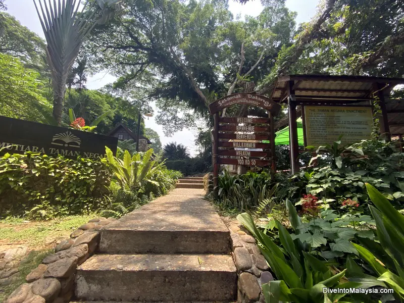 Mutiara Taman Negara Resort