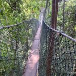 Taman Negara Canopy Walk