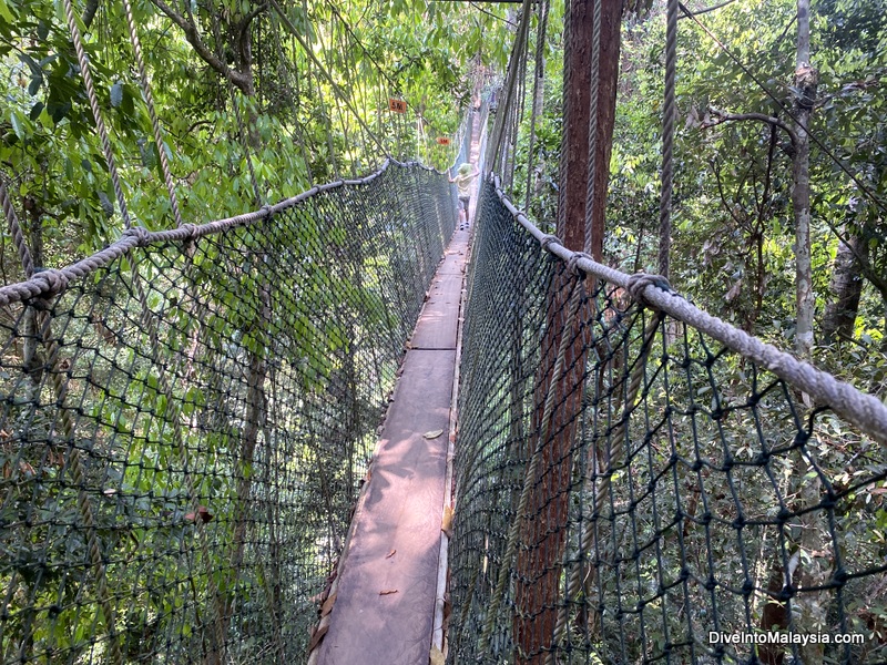 Taman Negara Canopy Walk