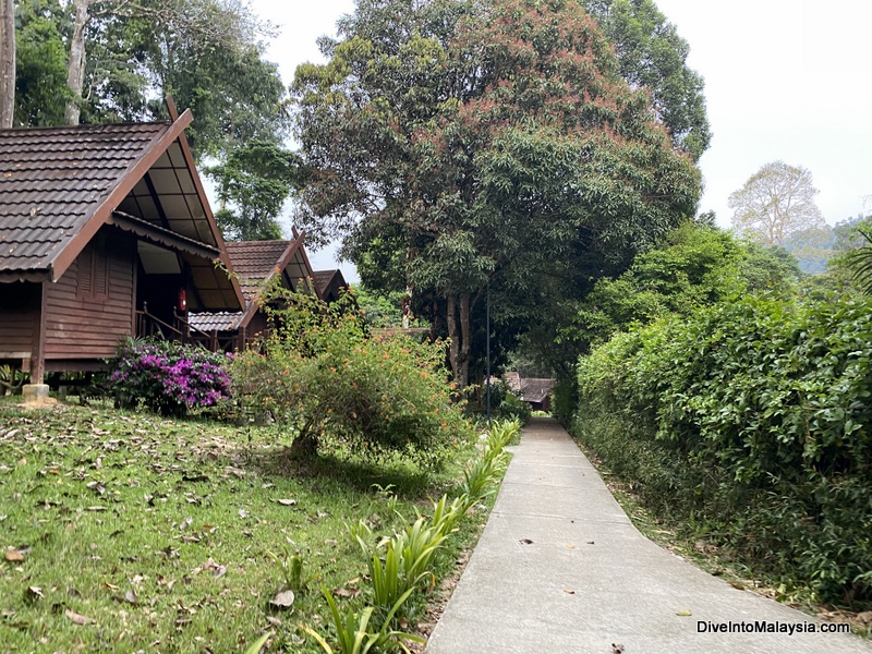 Mutiara Taman Negara