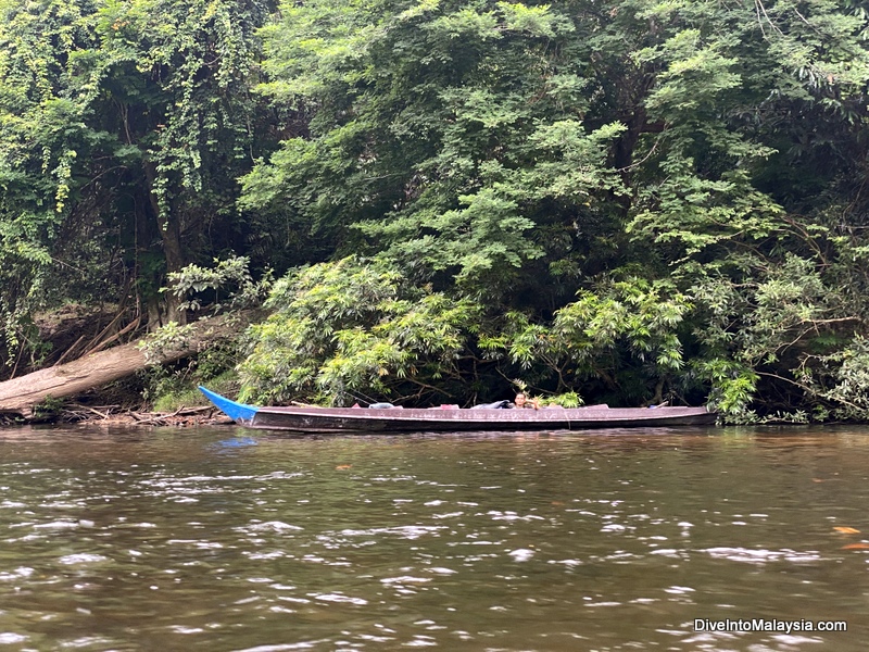 Fishing at Taman Negara