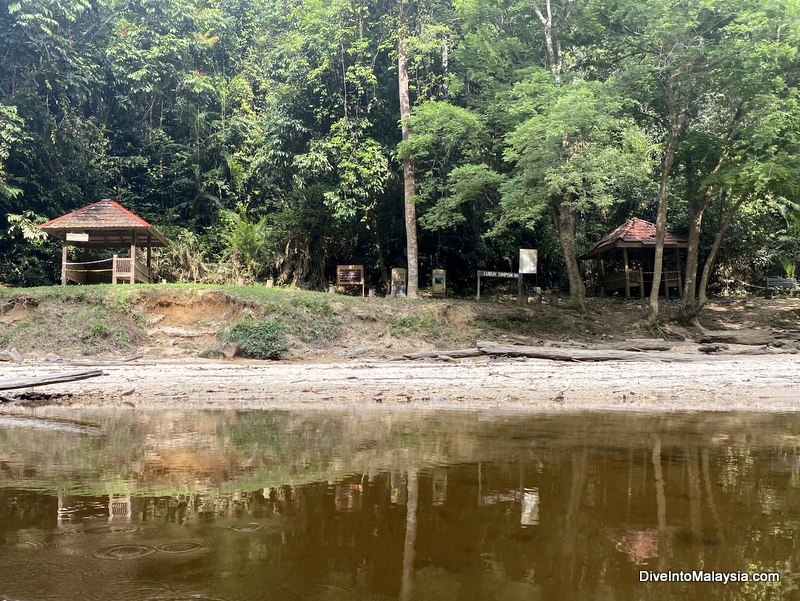 Lubok Simpon Taman Negara